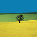 Franco Fontana