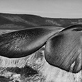 Sebastiao Salgado